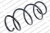 ROC CS7965 Coil Spring